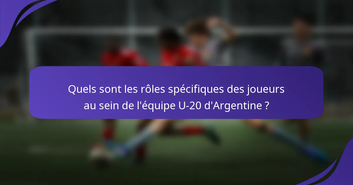 Quels sont les rôles spécifiques des joueurs au sein de l'équipe U-20 d'Argentine ?